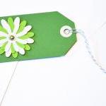 Ift Tags - 6 St Paddy's Day Green..